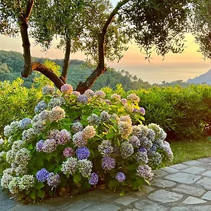Incanto , Vernazza Italie